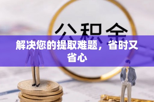 隆子解决您的提取难题，省时又省心