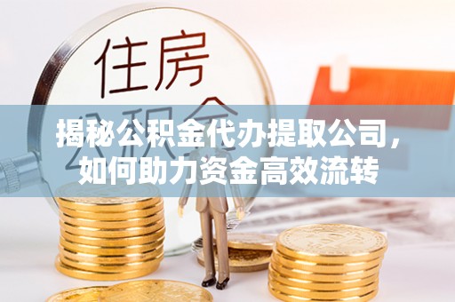 隆子揭秘公积金代办提取公司，如何助力资金高效流转