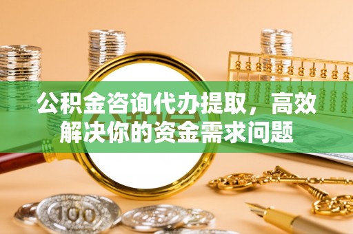 隆子公积金咨询代办提取，高效解决你的资金需求问题