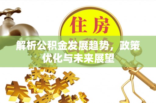 隆子解析公积金发展趋势，政策优化与未来展望