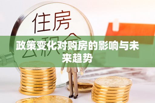 隆子政策变化对购房的影响与未来趋势