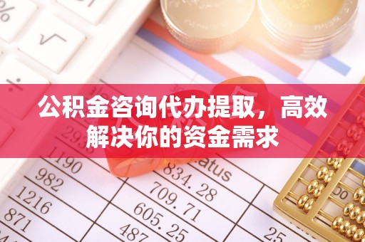 隆子公积金咨询代办提取，高效解决你的资金需求