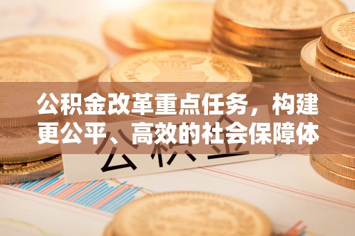 隆子公积金改革重点任务，构建更公平、高效的社会保障体系
