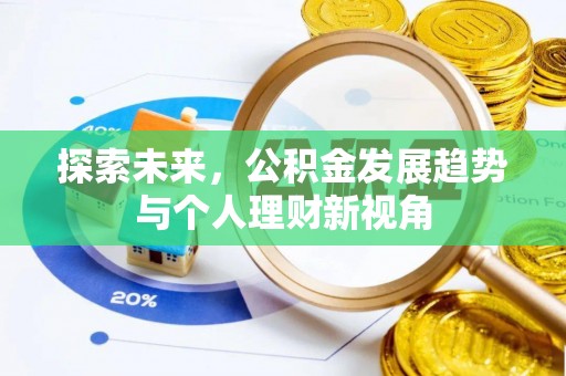 隆子探索未来，公积金发展趋势与个人理财新视角