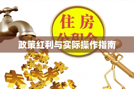 隆子政策红利与实际操作指南