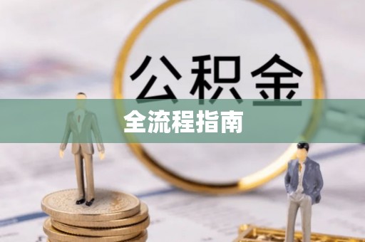 隆子全流程指南