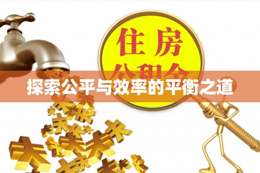 隆子探索公平与效率的平衡之道