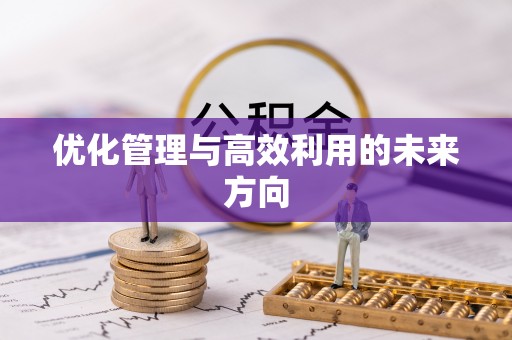 隆子优化管理与高效利用的未来方向