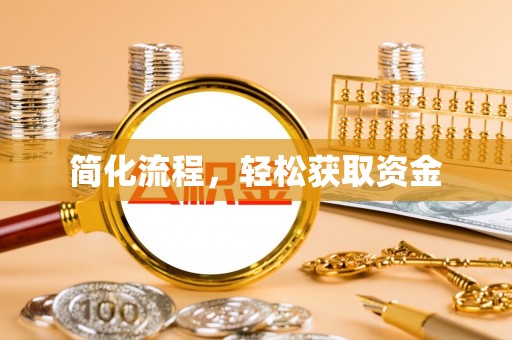 隆子简化流程，轻松获取资金