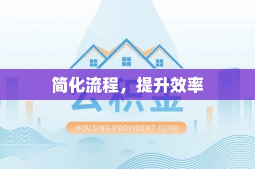 隆子简化流程，提升效率