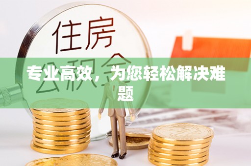 隆子专业高效，为您轻松解决难题