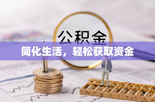 隆子简化生活，轻松获取资金