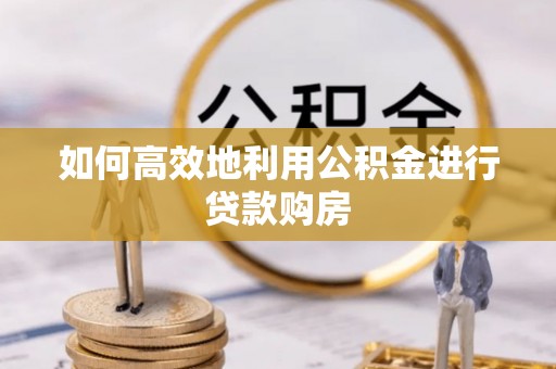 隆子如何高效地利用公积金进行贷款购房