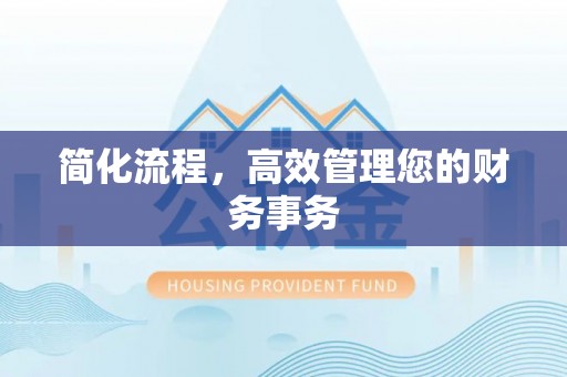 隆子简化流程，高效管理您的财务事务