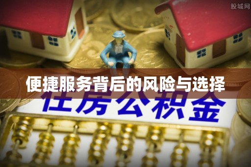 隆子便捷服务背后的风险与选择