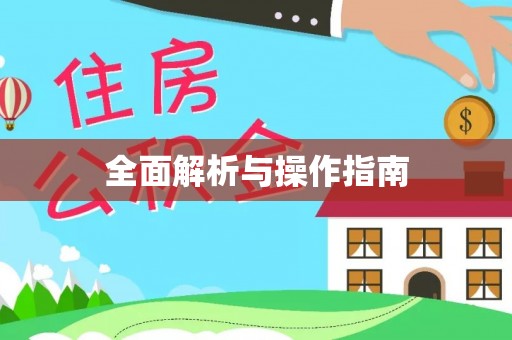 隆子全面解析与操作指南