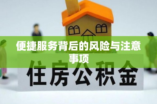 隆子便捷服务背后的风险与注意事项