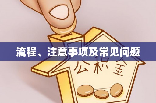 隆子流程、注意事项及常见问题