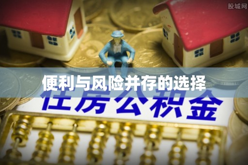 隆子便利与风险并存的选择