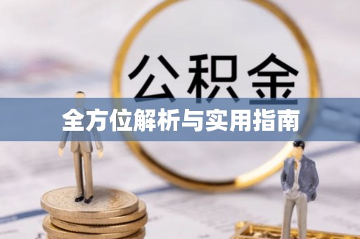 隆子全方位解析与实用指南