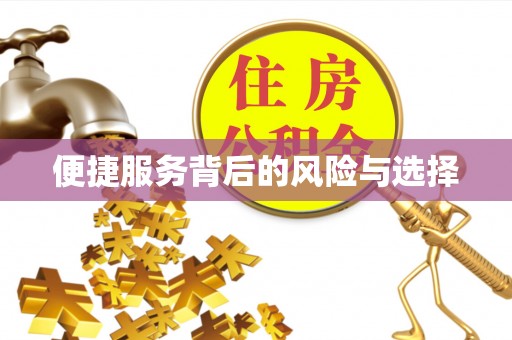 隆子便捷服务背后的风险与选择