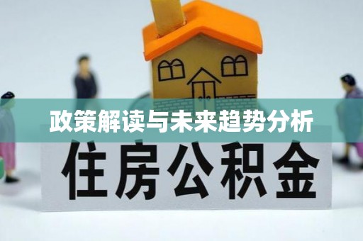 隆子政策解读与未来趋势分析