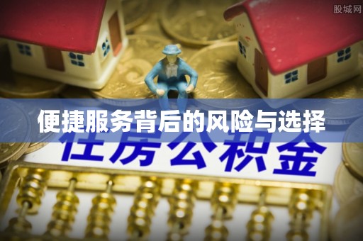 隆子便捷服务背后的风险与选择
