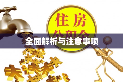 隆子全面解析与注意事项