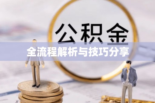 隆子全流程解析与技巧分享