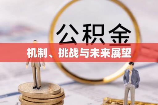 隆子机制、挑战与未来展望