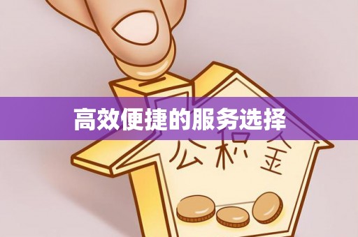 隆子高效便捷的服务选择
