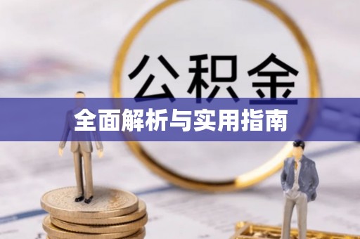 隆子全面解析与实用指南