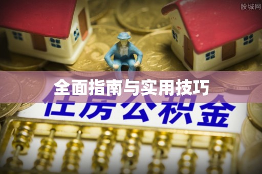 隆子全面指南与实用技巧