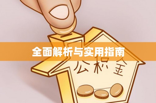 隆子全面解析与实用指南