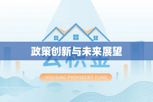隆子政策创新与未来展望