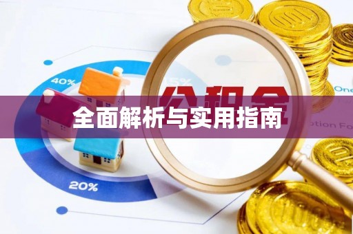 隆子全面解析与实用指南