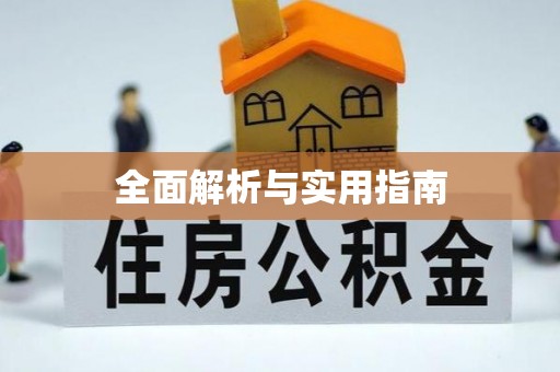 隆子全面解析与实用指南