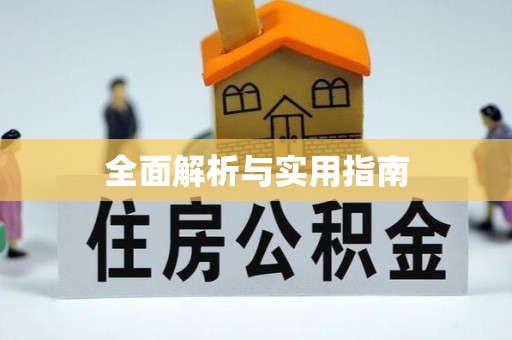 隆子全面解析与实用指南