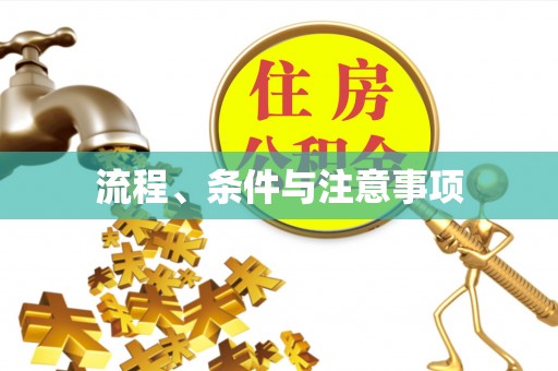隆子流程、条件与注意事项