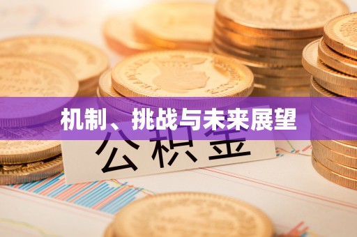 隆子机制、挑战与未来展望
